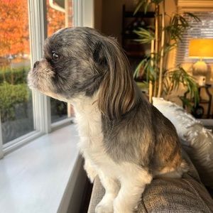 Meet your Posher, John